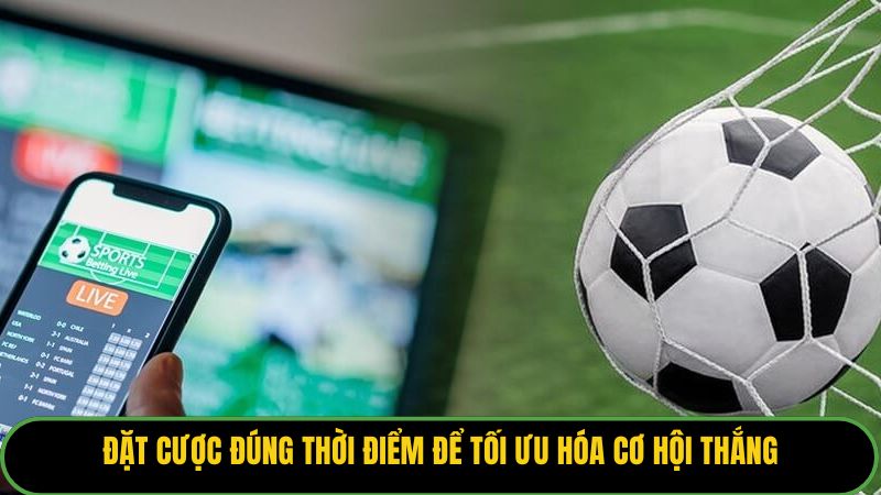 Đặt cược đúng thời điểm để tối ưu hóa cơ hội thắng