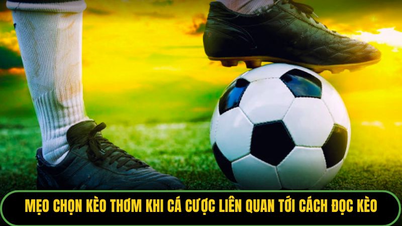 Mẹo chọn kèo thơm khi cá cược liên quan tới cách đọc kèo