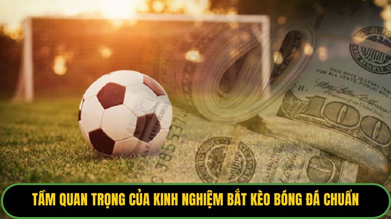 Tầm quan trọng của kinh nghiệm bắt kèo bóng đá chuẩn.