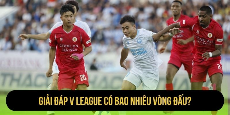 Giải đáp V League có bao nhiêu vòng đấu?