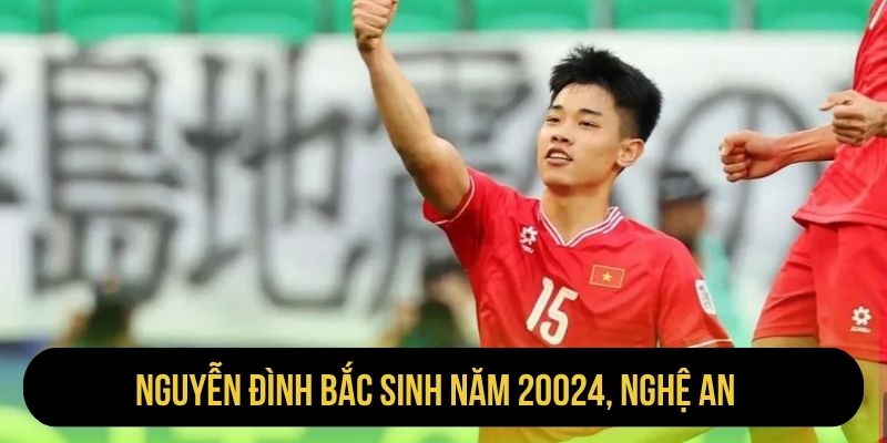 Nguyễn Đình Bắc sinh năm 20024, Nghệ An