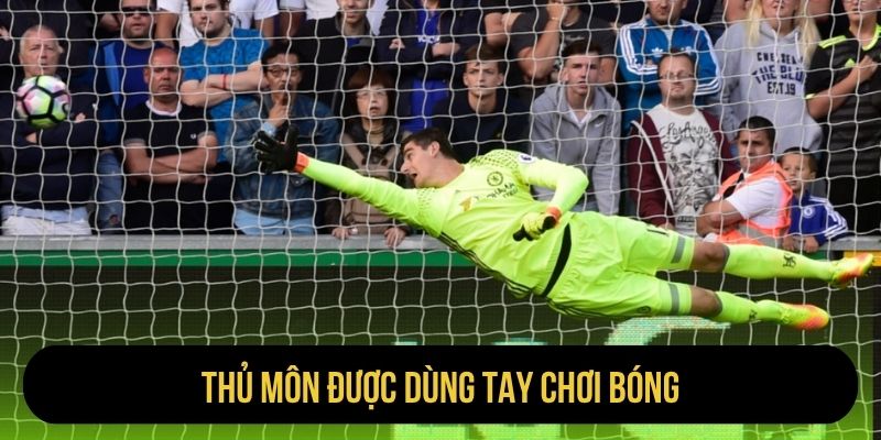 Thủ môn được dùng tay chơi bóng