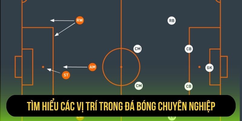 Tìm hiểu các vị trí trong đá bóng chuyên nghiệp