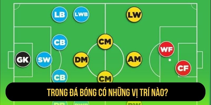 Trong Đá Bóng Có Những Vị Trí Nào