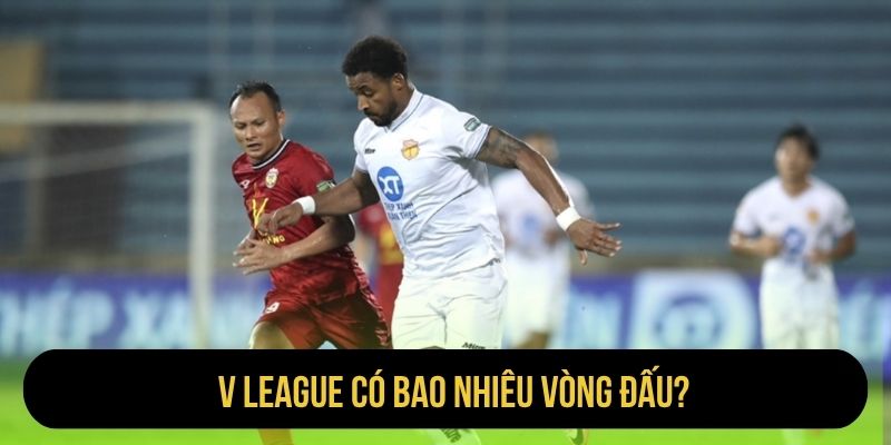V League có bao nhiêu vòng đấu